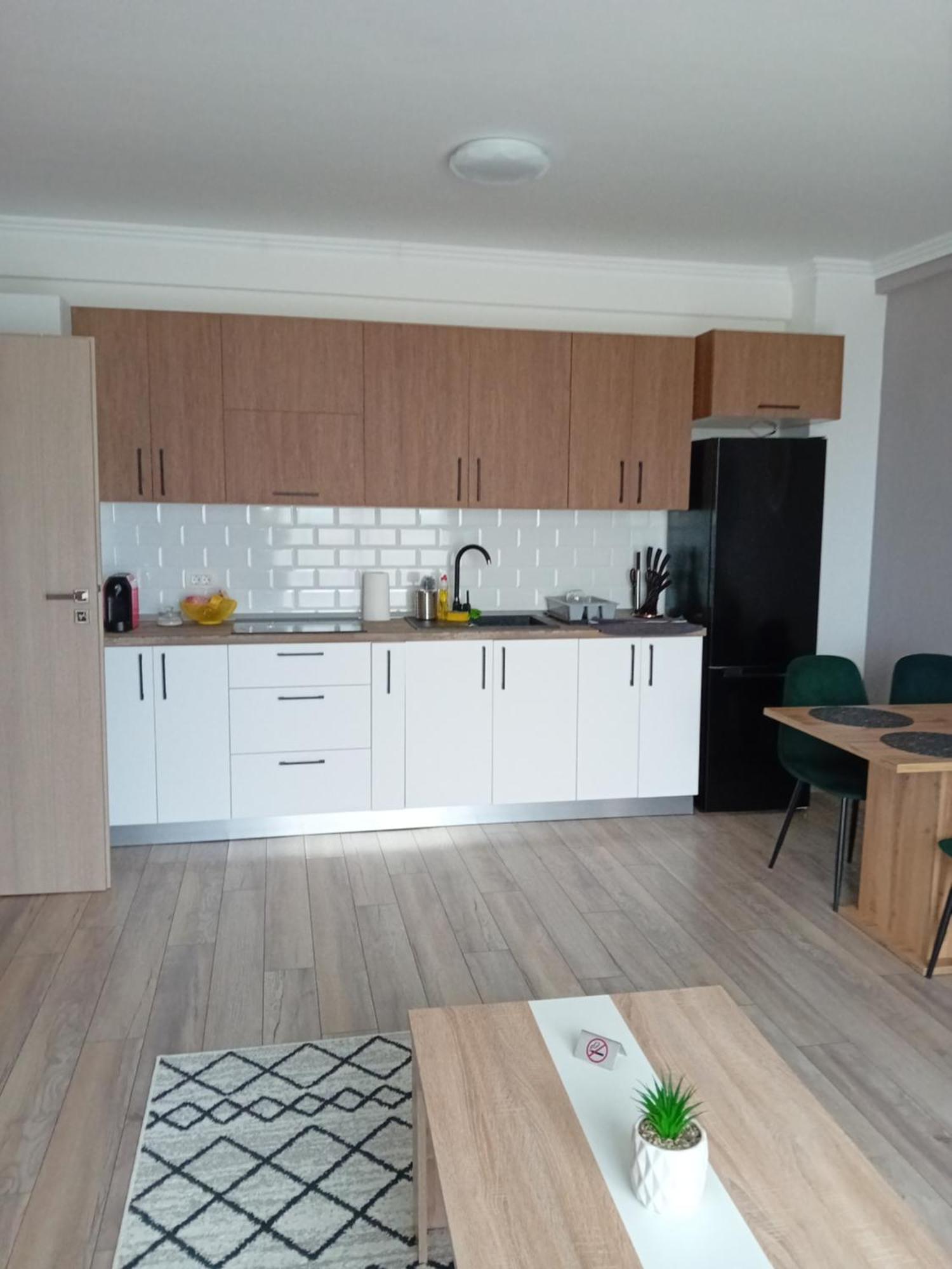 Apartament Adrian Băile Felix Εξωτερικό φωτογραφία